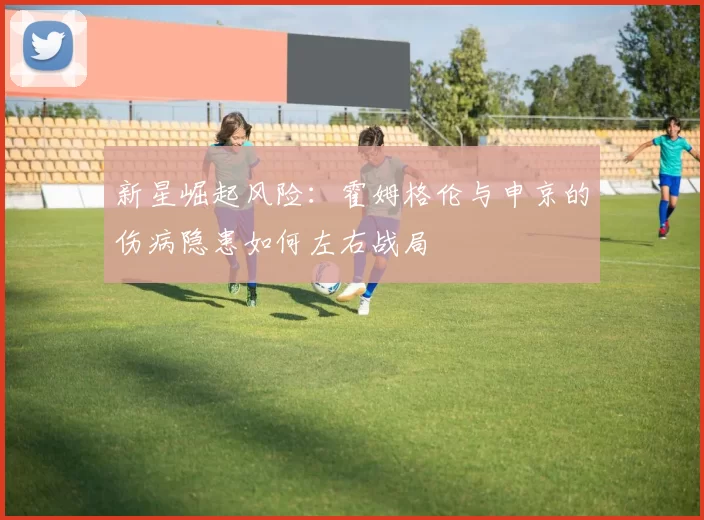 新星崛起风险：霍姆格伦与申京的伤病隐患如何左右战局