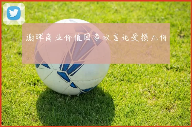 谢晖商业价值因争议言论受损几何