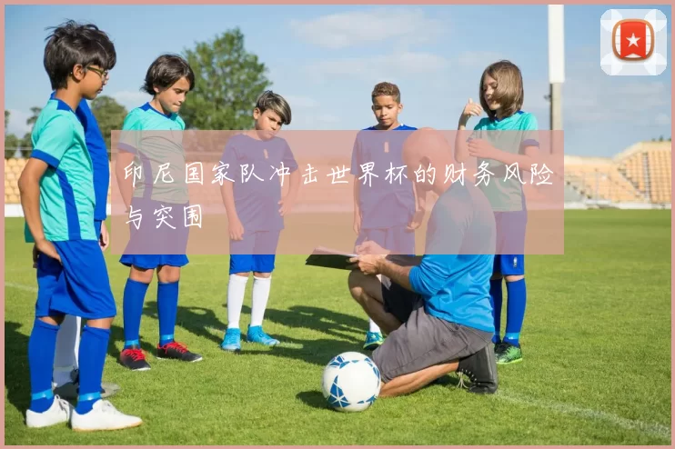 印尼国家队冲击世界杯的财务风险与突围