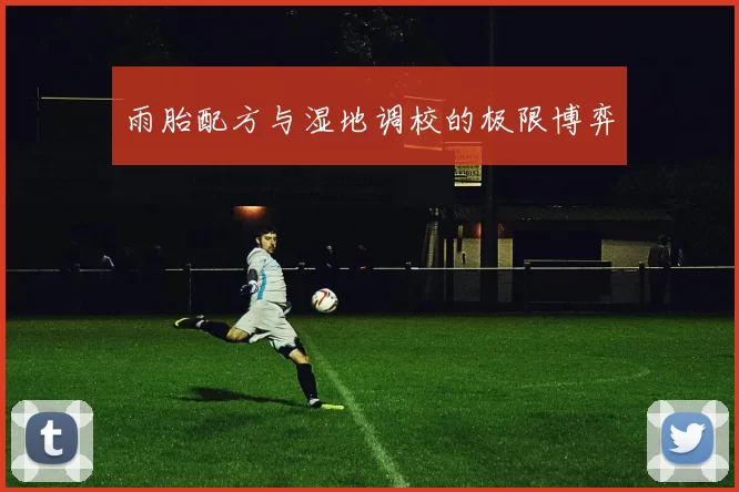 雨胎配方与湿地调校的极限博弈